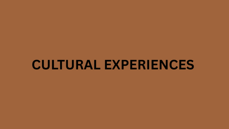 Cultural experiences in india